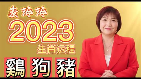 麥玲玲2023